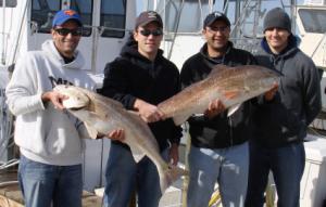 Nice bull redfish caught December 9th, 2006